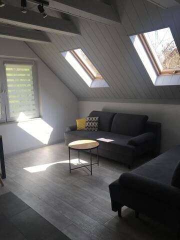 Фото номера Семейный люкс Апартаменты Apartamenty Gajówka- sauna jacuzzi, rowery г. Стегна 21