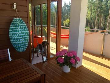 Фото номера Апартаменты Делюкс Апартаменты Apartamenty Flaming Baltic Park Stegna г. Стегна 28